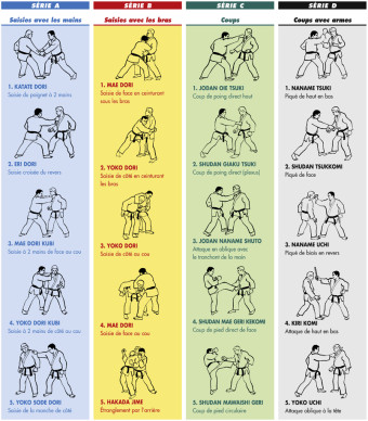 20-techniques-jujitsu